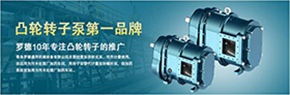 羅德轉(zhuǎn)子泵與南方某電機廠家技術(shù)交流，討論合作.