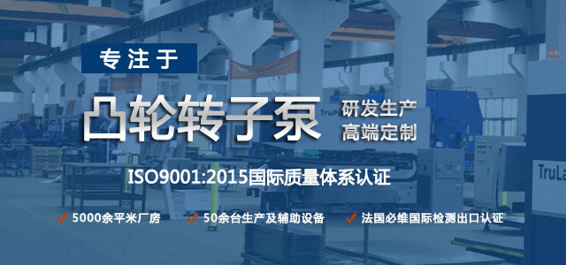 凸輪轉(zhuǎn)子泵生產(chǎn)廠家，專注于凸輪轉(zhuǎn)子泵的研發(fā)生產(chǎn)，高端定制